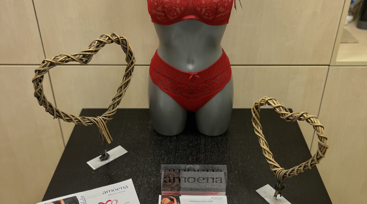 Lingerie Amoena